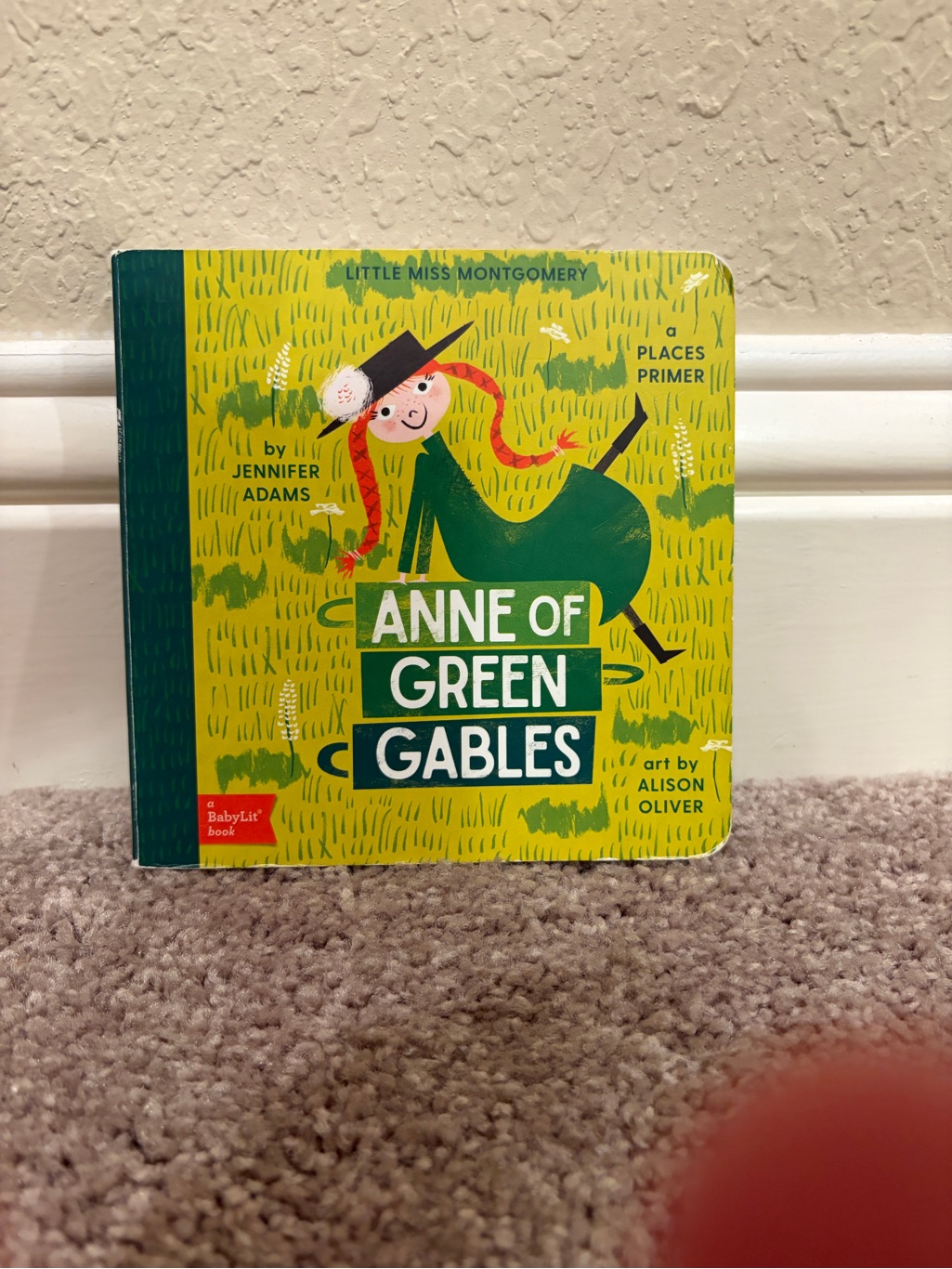 Anne Of Green Gables Board Book  Green Cover